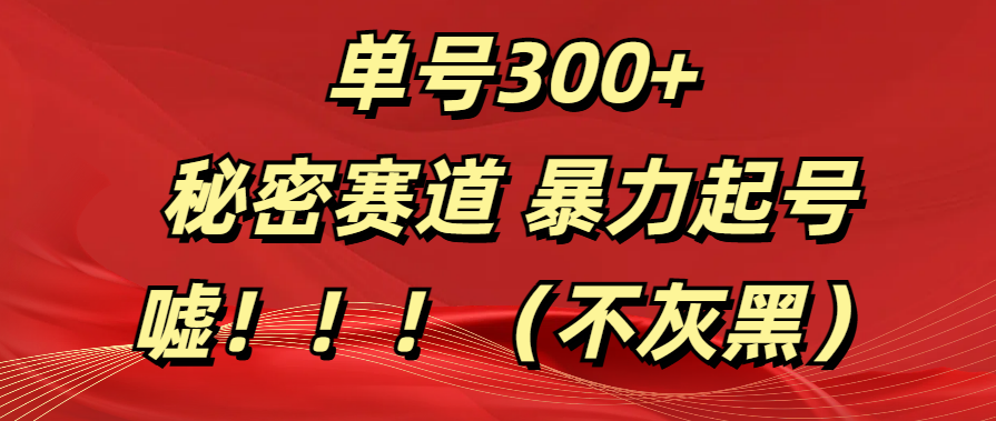 单号300+  秘密赛道 暴力起号  （不灰黑）创业吧-网创项目资源站-副业项目-创业项目-搞钱项目创业吧