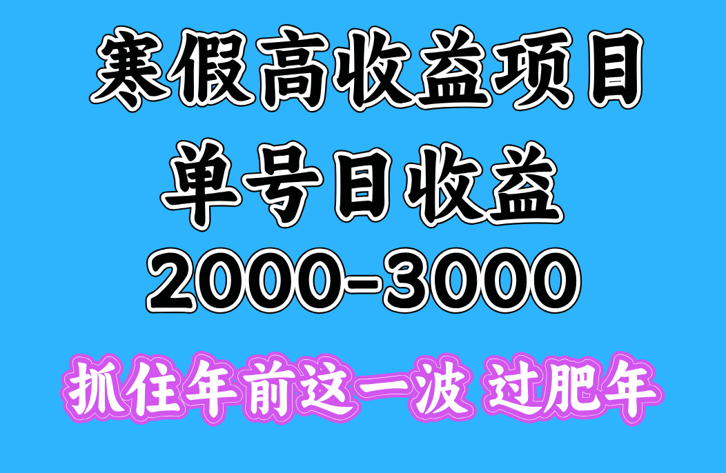 寒假期间一天收益2000-3000+，抓住年前这一波创业吧-网创项目资源站-副业项目-创业项目-搞钱项目创业吧