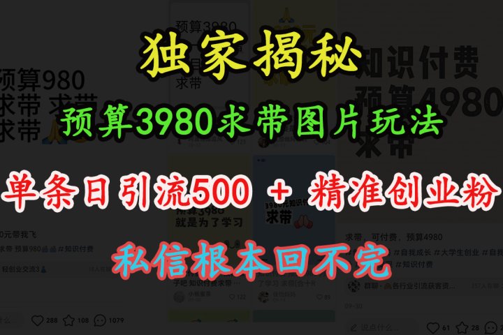 “小红书”预算3980求带 图片玩法，单条日引流500+精准创业粉，私信根本回不完创业吧-网创项目资源站-副业项目-创业项目-搞钱项目创业吧