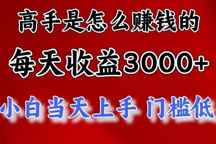 高手是怎么赚钱的，一天收益3000+ 这是穷人逆风翻盘的一个项目，非常稳创业吧-网创项目资源站-副业项目-创业项目-搞钱项目创业吧