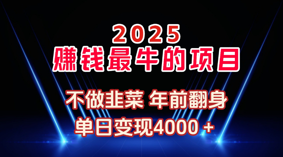 2025年赚钱最牛的项目 不做韭菜 年前翻身创业吧-网创项目资源站-副业项目-创业项目-搞钱项目创业吧