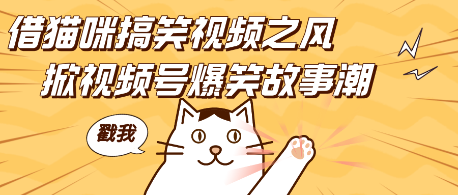 借猫咪搞笑视频之风，掀视频号爆笑故事潮，轻松日赚四位数，开启无门槛赚钱新体验！创业吧-网创项目资源站-副业项目-创业项目-搞钱项目创业吧