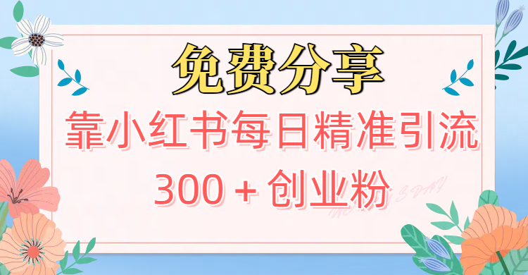 2025最新引流！靠小红书每日精准引流300＋创业粉创业吧-网创项目资源站-副业项目-创业项目-搞钱项目创业吧