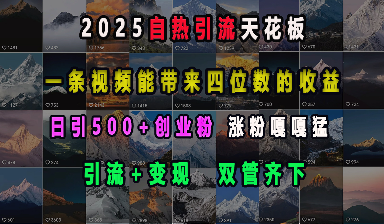 2025自热引流天花板，一条视频能带来四位数的收益，引流+变现双管齐下，日引500+创业粉，涨粉嘎嘎猛创业吧-网创项目资源站-副业项目-创业项目-搞钱项目创业吧