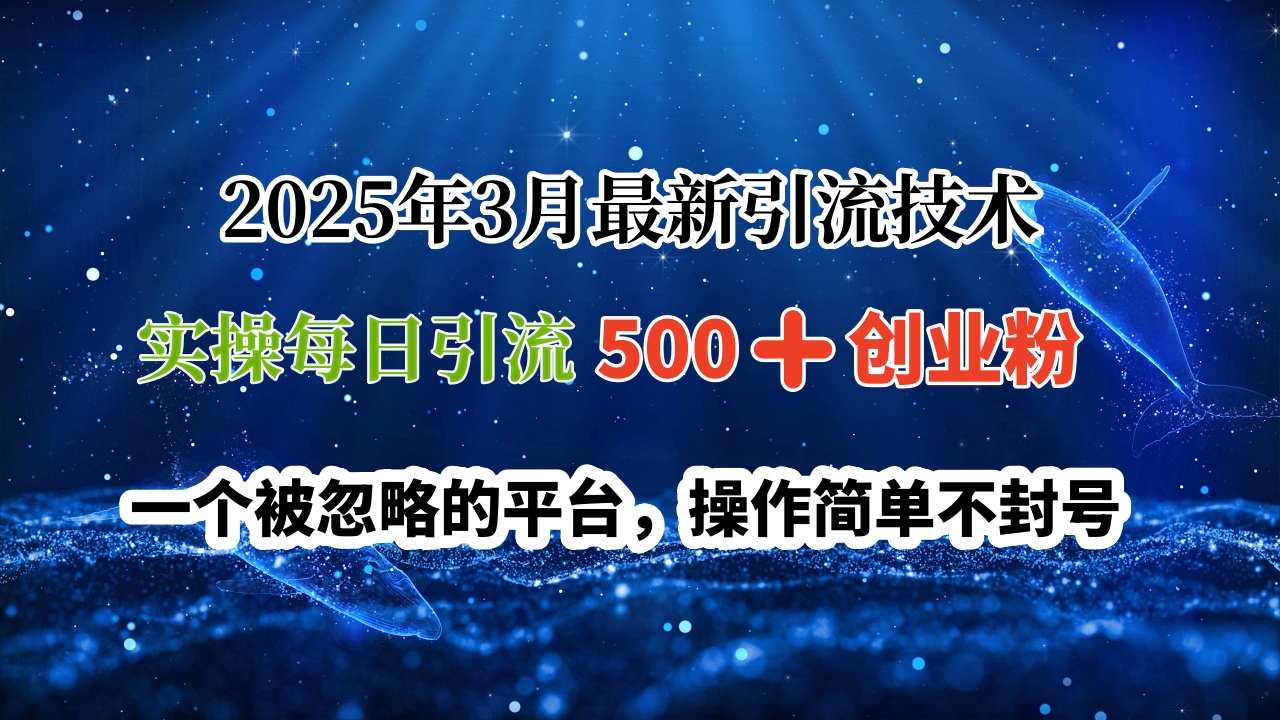 2025年3月最新引流技术，实操每日引流500➕创业粉，一个被忽略的平台，操作简单不封号创业吧-网创项目资源站-副业项目-创业项目-搞钱项目创业吧