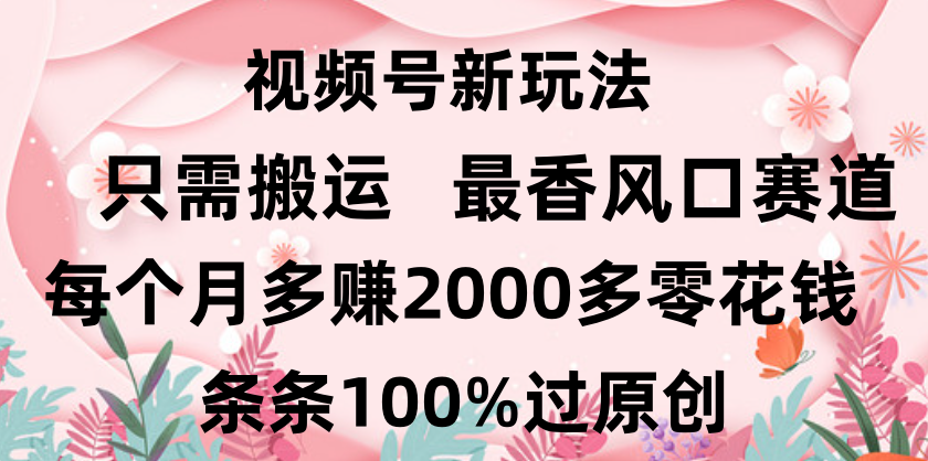 日入2000+，条条100%过原创，视频号最香风口赛道，小白轻松上手创业吧-网创项目资源站-副业项目-创业项目-搞钱项目创业吧