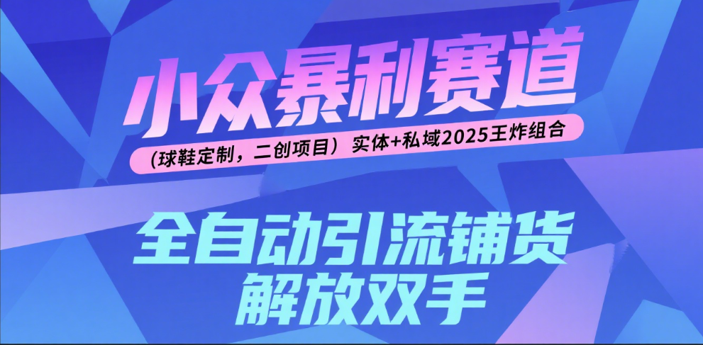 楠—小众暴利赛道（球鞋定制，二创项目）实体+私域2025王炸组合创业吧-网创项目资源站-副业项目-创业项目-搞钱项目创业吧