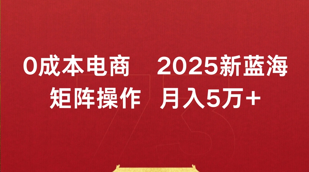 0成本电商2025新蓝海矩阵操作 月入5万+创业吧-网创项目资源站-副业项目-创业项目-搞钱项目创业吧